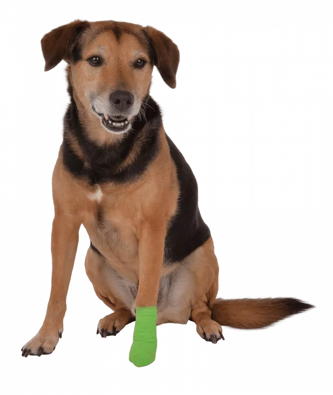 Vetlando Anti-Lick-Bandage Medium